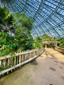 Wooden path under the glass roof of a tropical greenhouse at ZooParc de Beauval