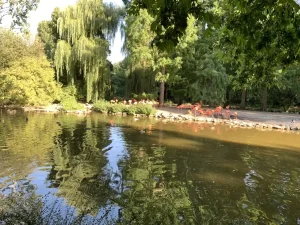 Flamingos by a shaded pond at ZooParc de Beauval