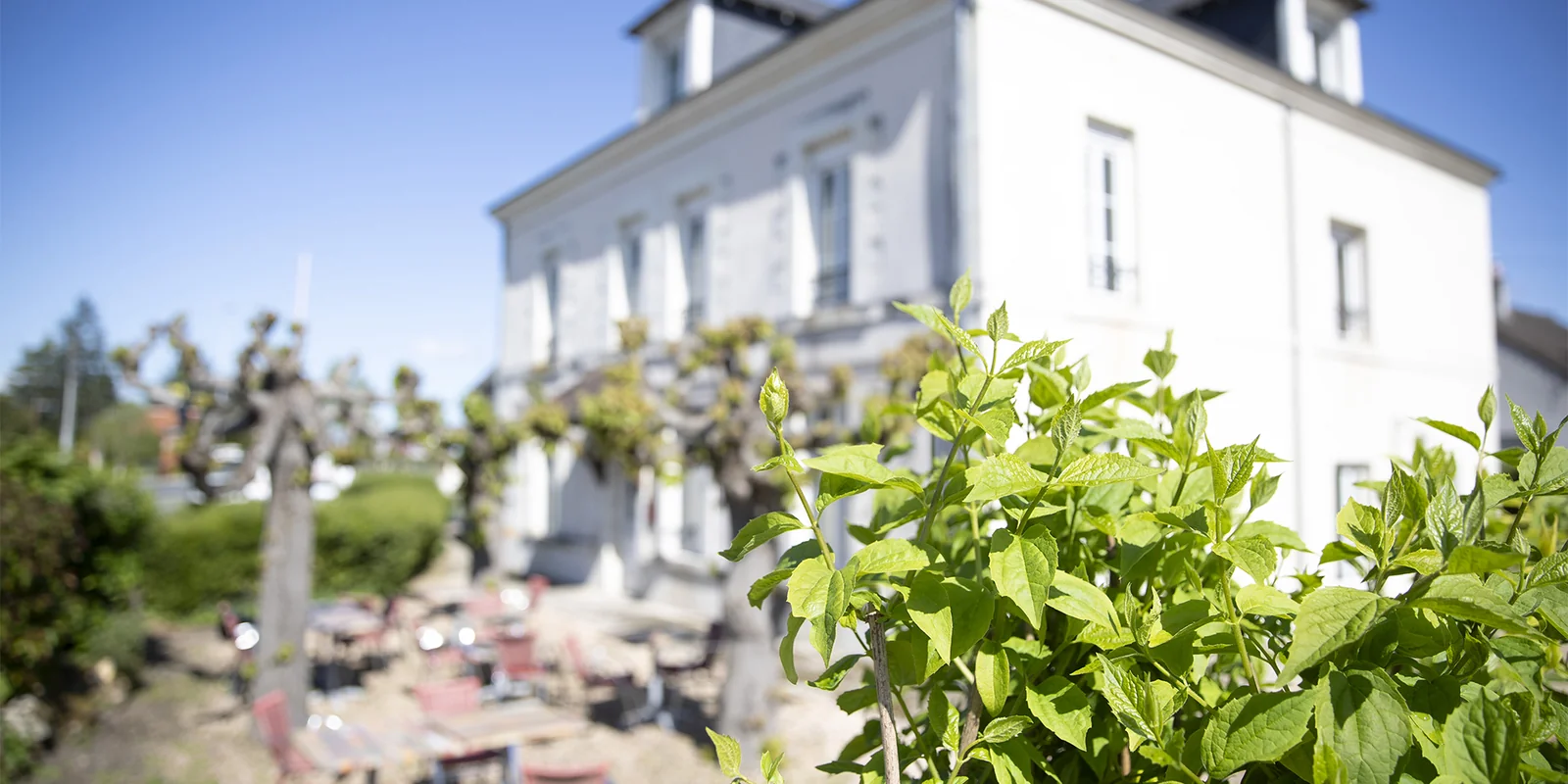 Le Relais Touraine Sologne in Noyers-sur-Cher, a Destination Beauval hotel