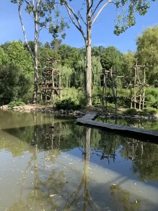 Pond lined with trees and wooden structures at ZooParc de Beauval