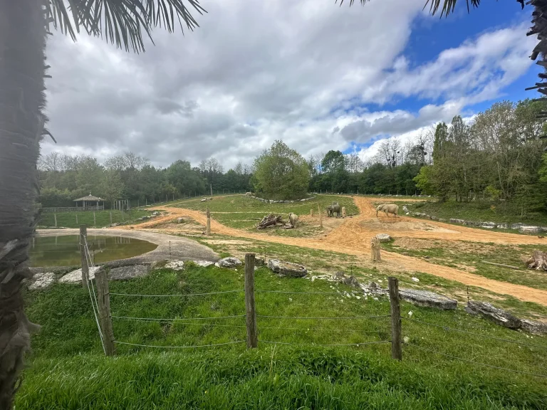 Rhino in its panoramic enclosure at ZooParc de Beauval