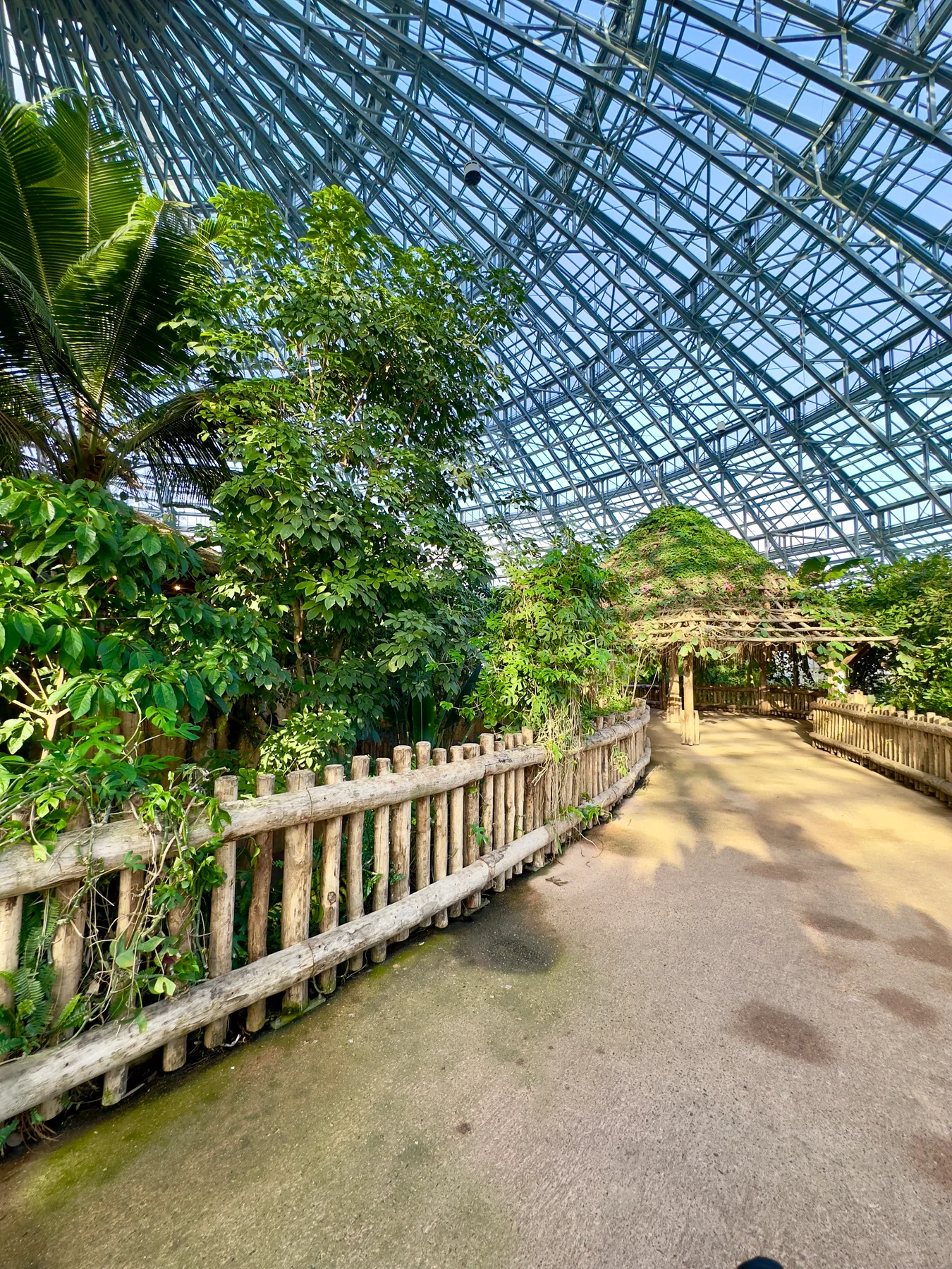 Path through the tropical greenhouse at ZooParc de Beauval