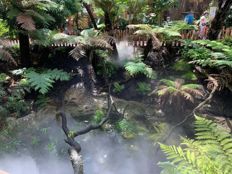 Ferns in the mist of the tropical greenhouse at ZooParc de Beauval